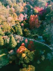 Jardín Botánico de Mount Lofty