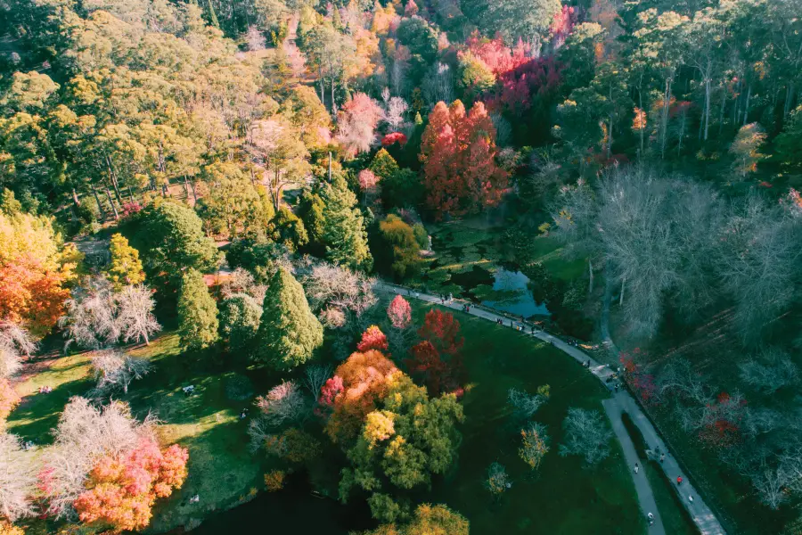 Mount Lofty Botanic Garden