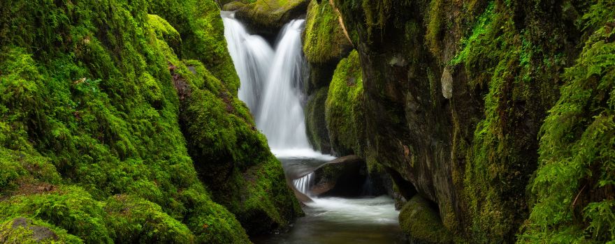 Dollar Glen