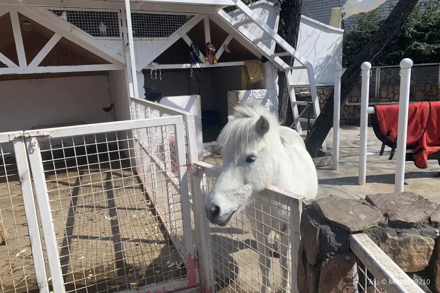 金庭動物園