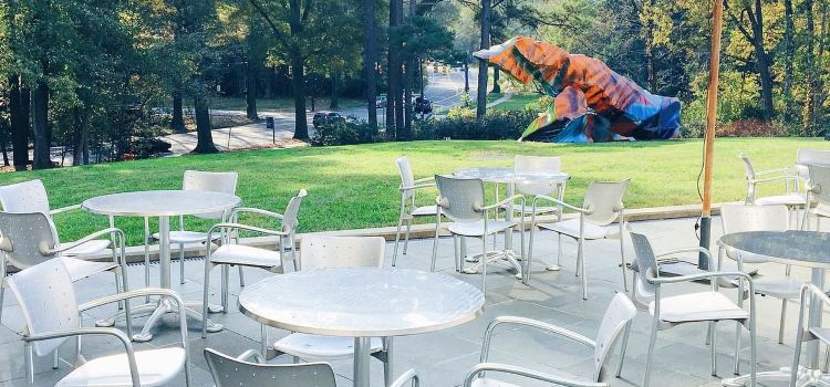 Nasher Cafe