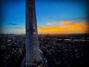 Sky Lounge Top Of Tree