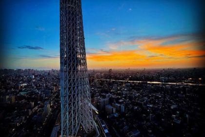 Sky Lounge Top Of Tree