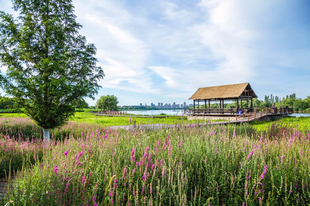 1_Grand Canal Forest Park