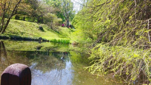 Comenius University Botanical Garden