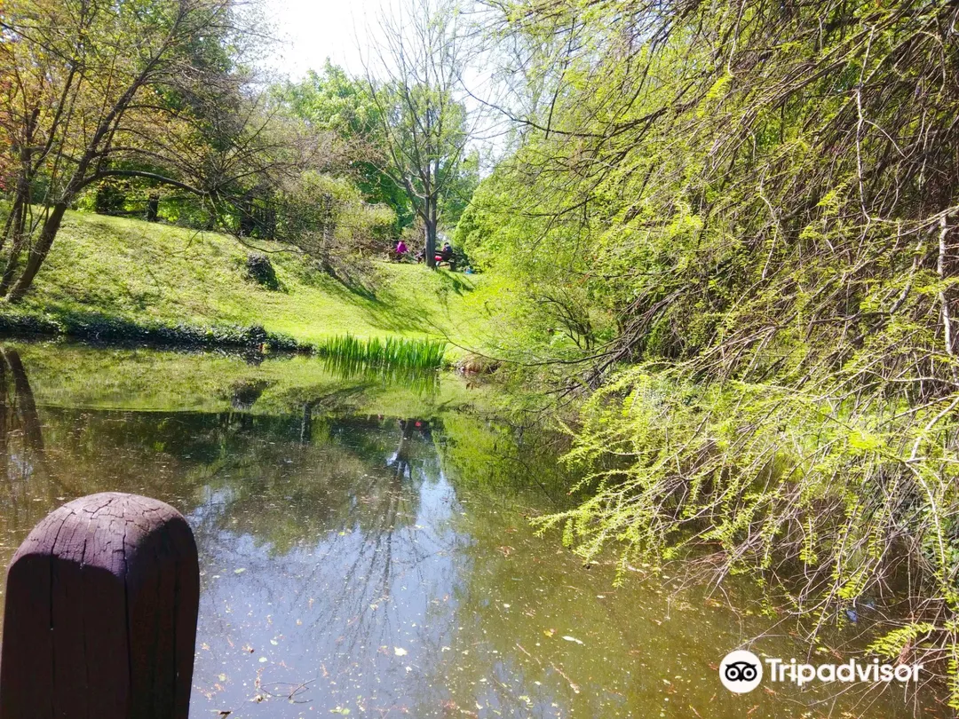 1_Comenius University Botanical Garden