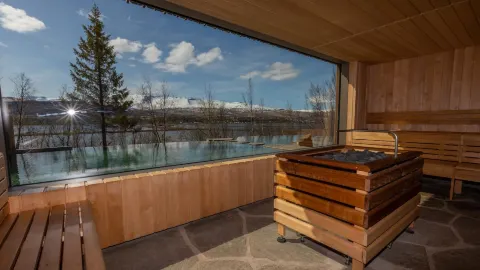 Forest Lagoon attraction in Iceland