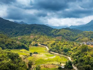 Tropic Rain Forest Scenery Spot of Five Finger Mountain