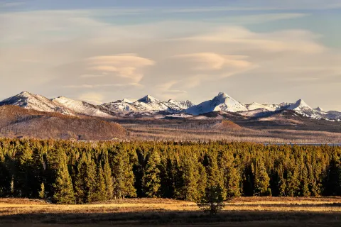 Parco nazionale di Yellowstone