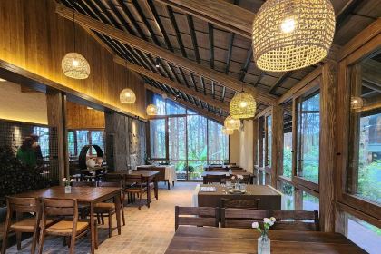 Rừng Thông Mơ Farm & Bistro