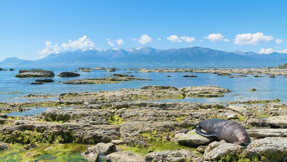 Point Kean Viewpoint