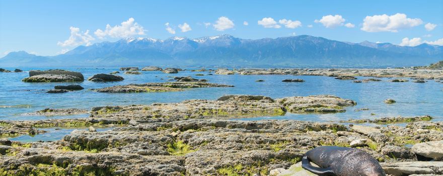 Point Kean Viewpoint
