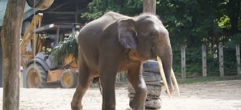プタタンのホテル