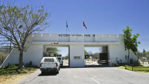 Etosha National Park attraction in Namibia