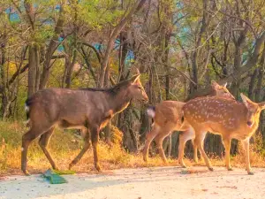 濱海路