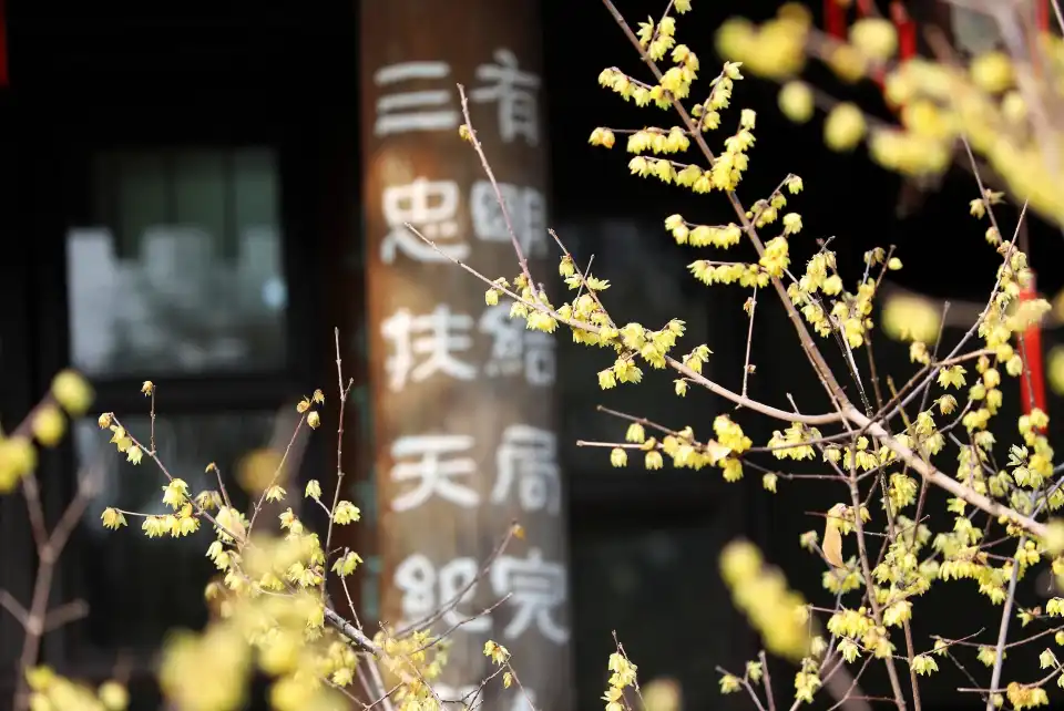 4_Yangzhou Grand Canal Cultural Tourism Resort · Shi Kefa Memorial Hall