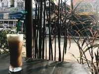 Bamboo tree with lots of food