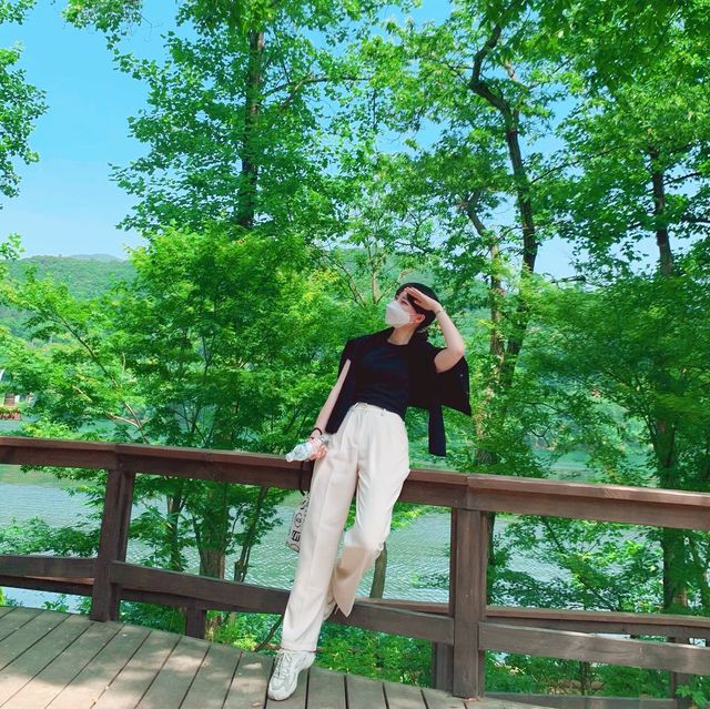 [여름엔 남이섬으로 떠나요~]