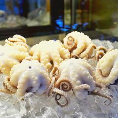 铭聚章鱼土笋冻(松柏店) User Photo