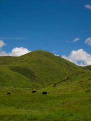 Black Diamond Mines Regional Preserve