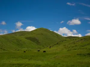 Заказник Блэк Даймонд Майнс Риджинал
