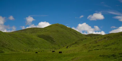 Black Diamond Mines Regional Preserve