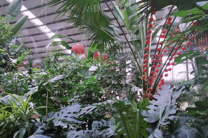 东升醉鹅城(建水店)