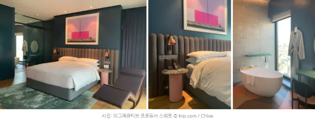 [월간호텔] 트립닷컴이 직접 다녀온 리얼 후기 - 라이즈 오토그래프 컬렉션 (룸타입 편)