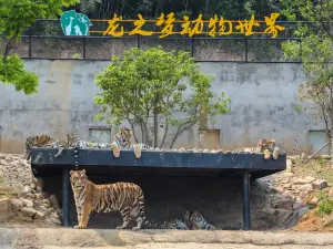 ドラゴンドリーム動物の世界