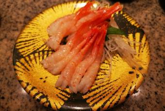 Saito用戶圖片