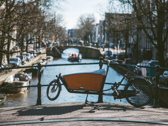 Canals of Amsterdam