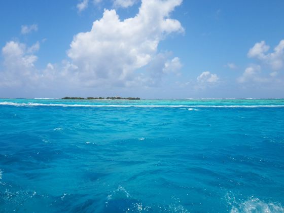 莫雷阿島