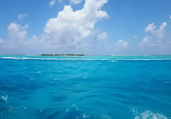 バリ島⇒パペーテ 飛行機