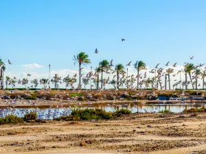 Changzhi National Urban Wetland Park