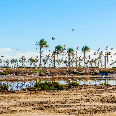 Отзывы об отеле Jin Boman Hotel (Linfen Pingyang Square)