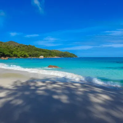 Hotels in Yala That Provide Airport Transfers