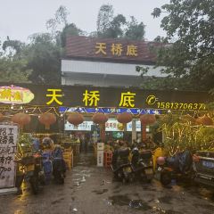 天桥底鸡煲 User Photo