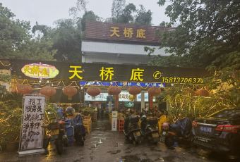 天桥底鸡煲 User Photo