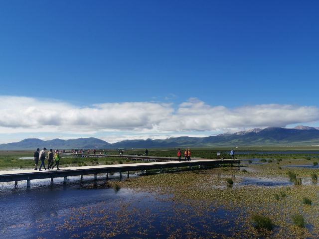 若爾蓋花湖生態旅遊區