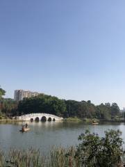 Jinshan Forest Park