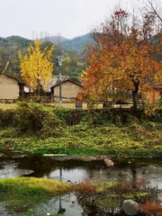 新県周河西河湾