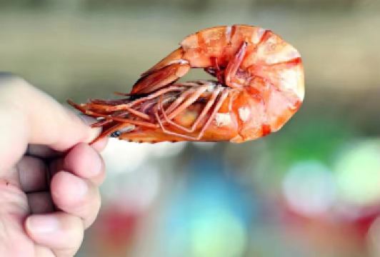 The Pig Out Bistro User Photo