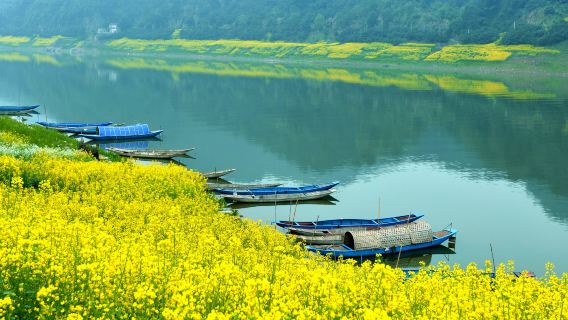 新安江山水畫廊+徽州古城純玩跟團1日遊