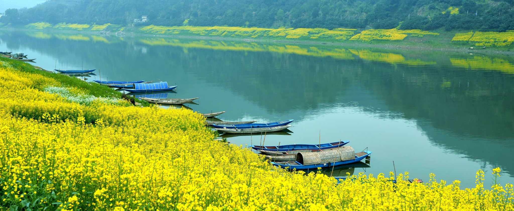 新安江山水畫廊+徽州古城純玩跟團1日遊
