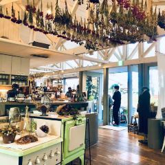 Paper Moon User Photo