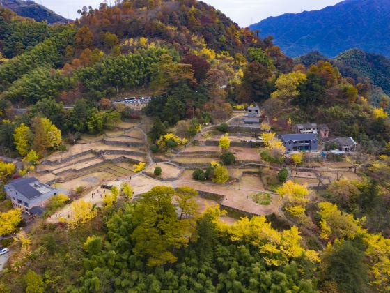 마오 지앙 마을 고대 숲