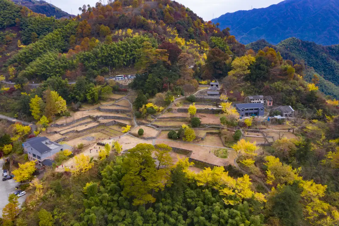 마오 지앙 마을 고대 숲 주변 호텔