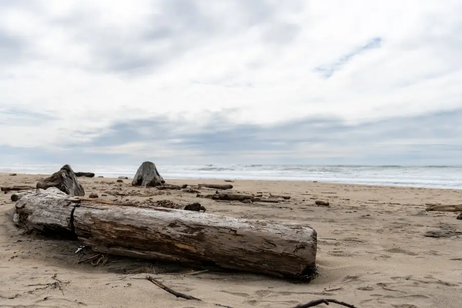 Pomponio State Beach