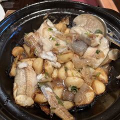 Qingya ảnh của người dùng