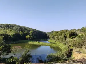 Sakura Valley
